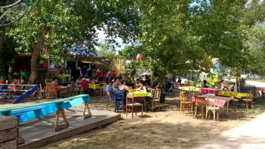 Groupes de personnes attablés sous les arbres, à la Corne des Pâtures