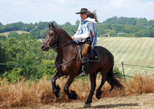 Personnage habillé en mousquetaire qui galope sur un cheval