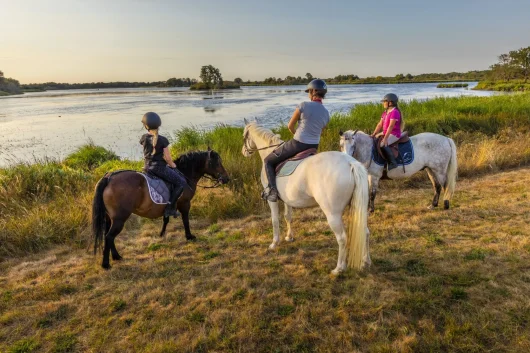 Paseo a caballo: galopa en pleno corazón del Valle del Loira