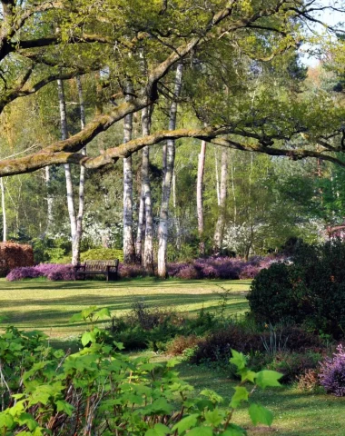 Les grands arbres dans le parc avec des massifs colorés à leurs pieds