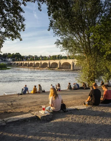 Vue de la ville de Tours depuis les bords de Loire